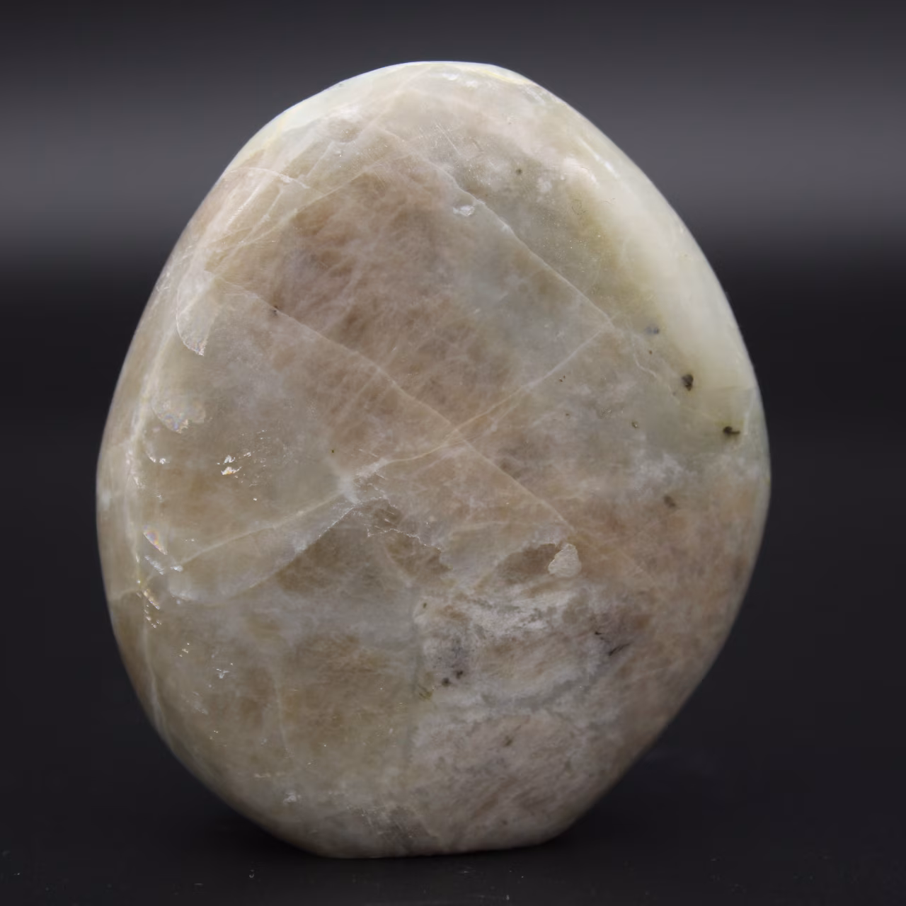 Polerad garnieritrock