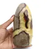 Polerad septaria sten - 0