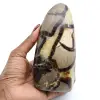 Polerad septaria - 0