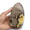 Polerad septaria rock - 0