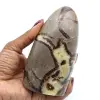 Polerad septaria - 0