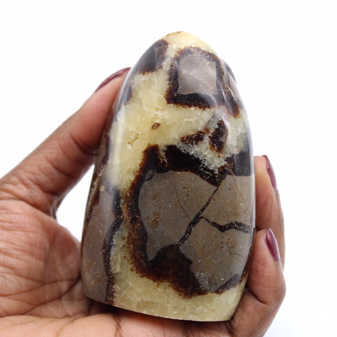 Septaria rock