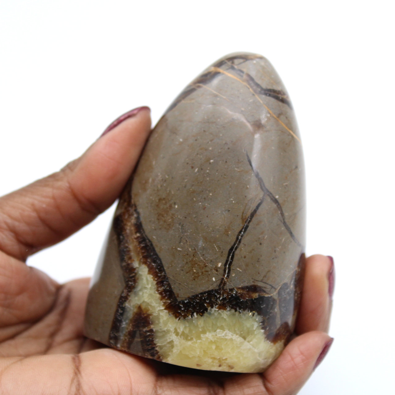 Polerad septaria