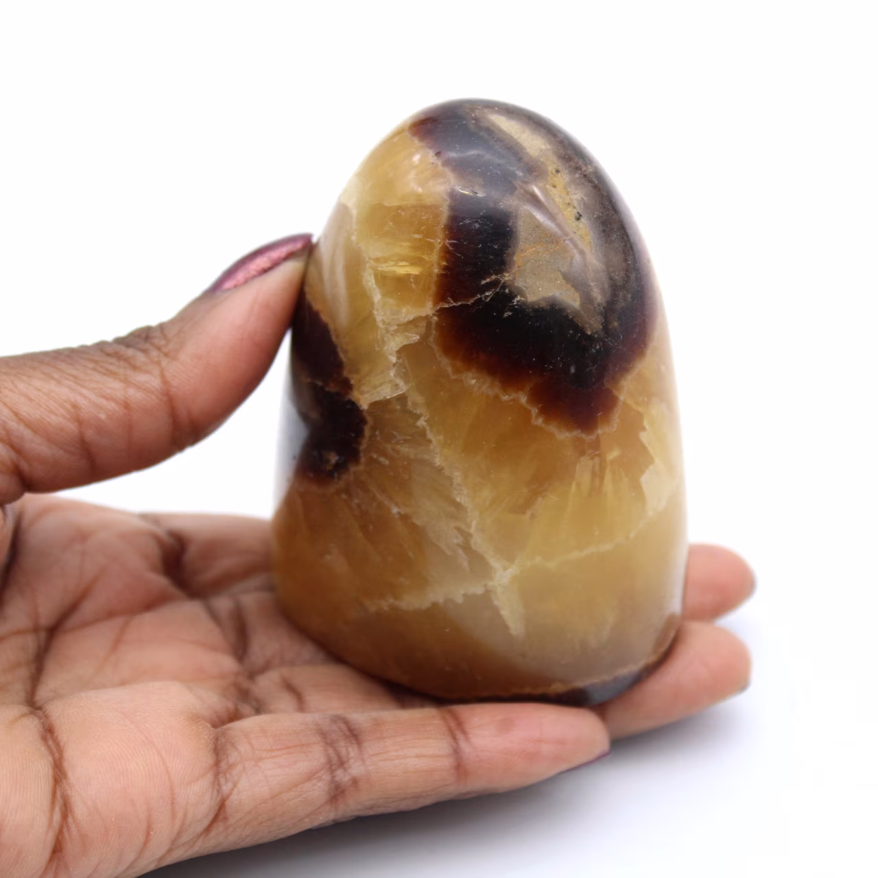 Polerad septaria rock