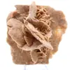Ökenros - 0