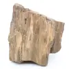 Arizona fossilt träblock - 0