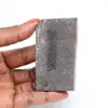 Arles ormbunke fossil - 0