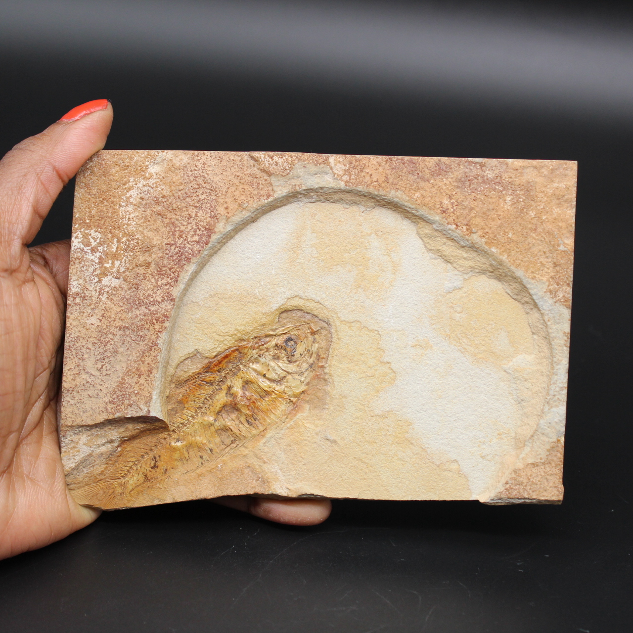 Fiskfossil