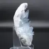 Celestite naturlig kristall - 1