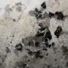 Polerat naturligt turmalininneslutningsblock - 5