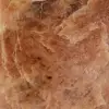 Polerad rosa microline månsten från Madagaskar - 5