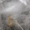 Dekorativ naturlig bergkristallkvarts - 5