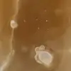 Polerad naturlig honungskalcit - 5