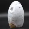 Polerat naturligt polykromt jaspisblock - 0