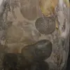 Samlarobjekt, naturligt grått jaspisband - 5