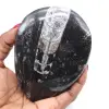 Polerade fossil orthoceras - 0