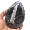 Naturliga orthoceras - 0