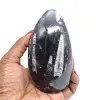 Orthoceras marocko - 0
