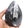 Fossiliserade orthoceras - 0