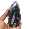 Polerad orthoceras fossil - 0