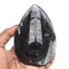 Fossiliserade orthoceras - 0
