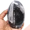 Naturlig ortoceras fossil - 0