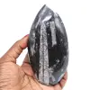 Orthoceras marocko - 0
