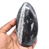 Fossil av ortoceras från marocko - 0