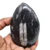 Naturliga orthoceras - 0
