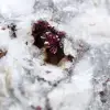 Erytritsten - 2