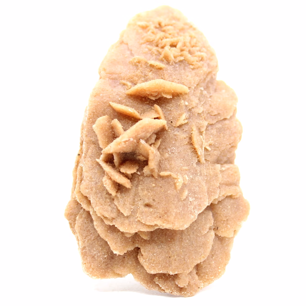 Ökenros