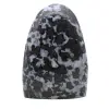Naturlig prydnadsindigo gabbro - 0
