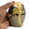 Polerad septaria - 0