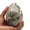 Mineralägg i septaria - 0