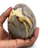 Mineralägg i septaria - 0