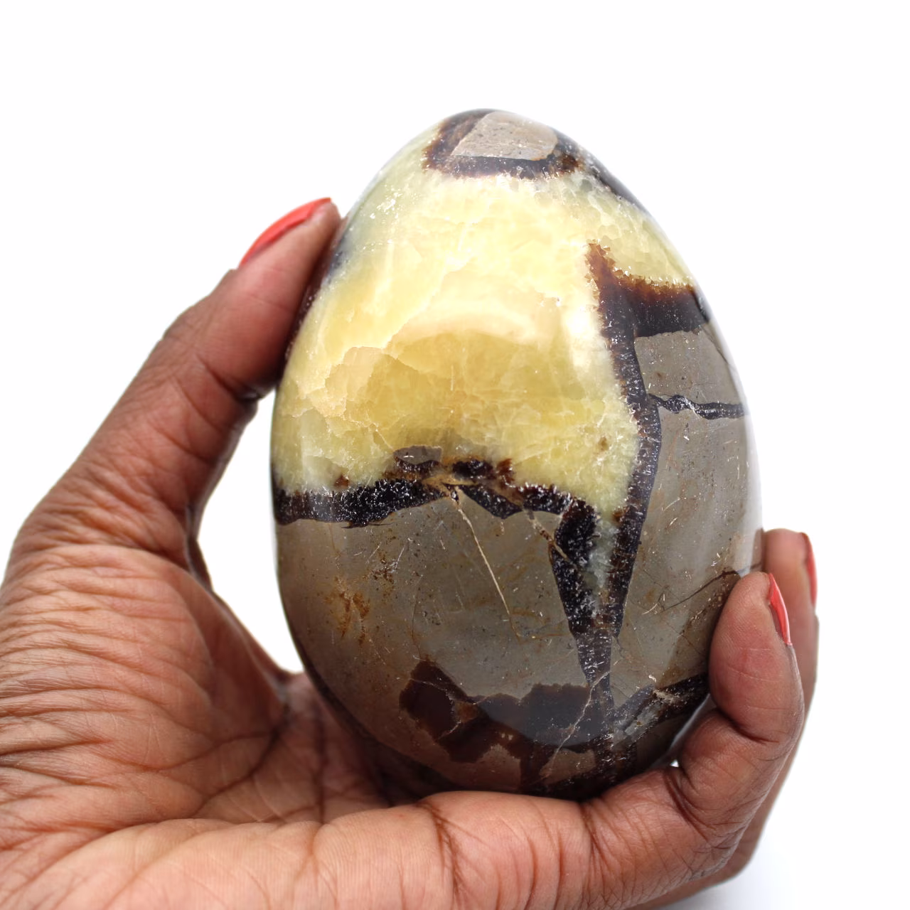 Mineralägg i septaria