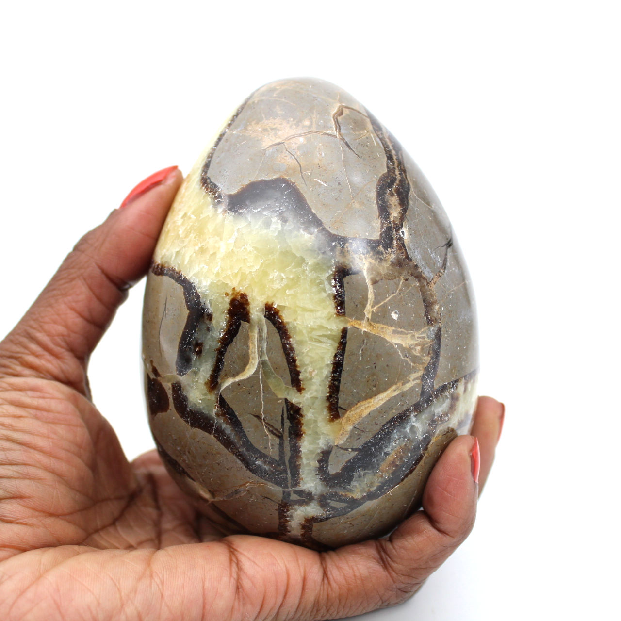Mineralägg i septaria