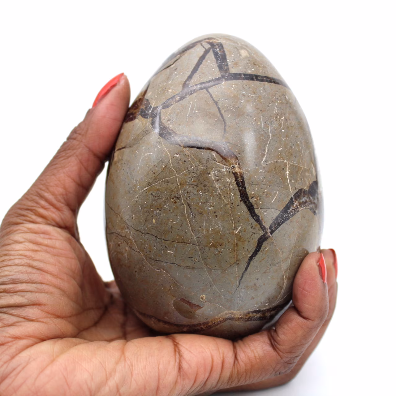 Mineralägg i septaria
