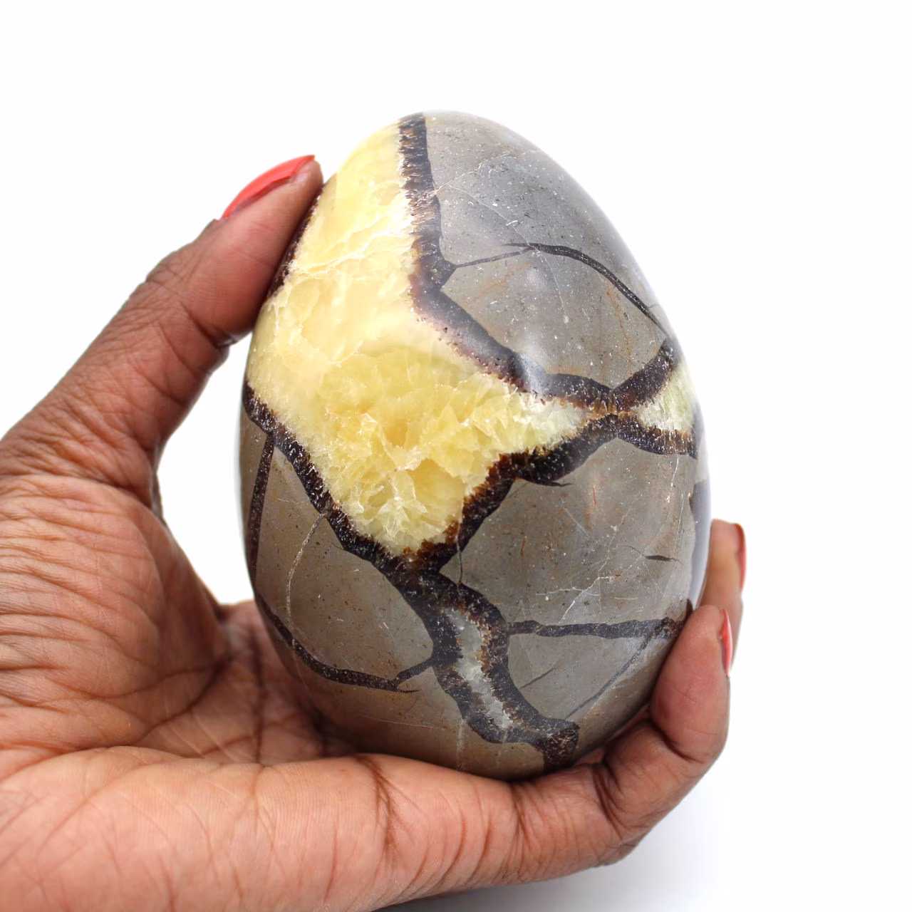 Mineralägg i septaria