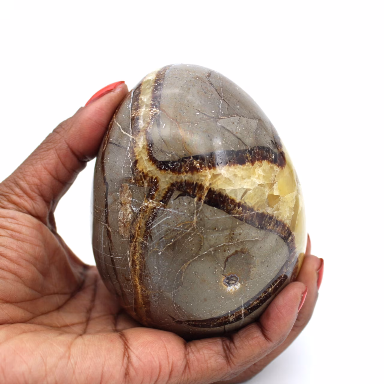 Mineralägg i septaria