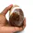 Agat mineral ägg