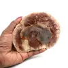 Naturligt polerat fossiliserat trä - 0