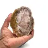Skiva av naturligt fossiliserat trä - 0
