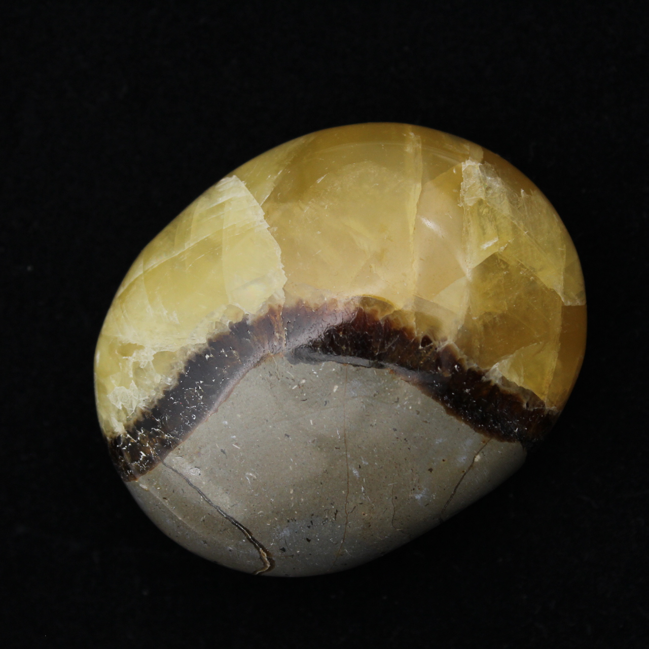 Pebbles of septaria