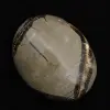 Pebbles of septaria - 2
