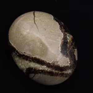 Pebbles of septaria