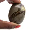 Pebbles of septaria - 1