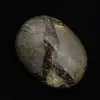 Pebbles of septaria - 2