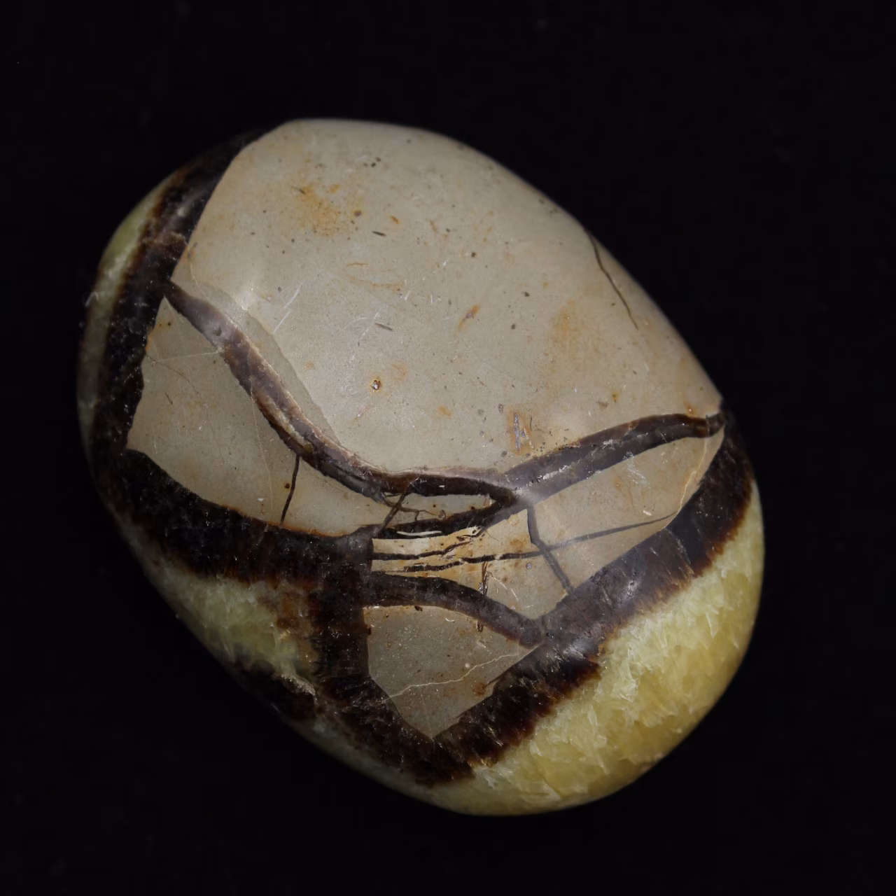 Pebbles of septaria