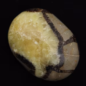 Pebbles of septaria